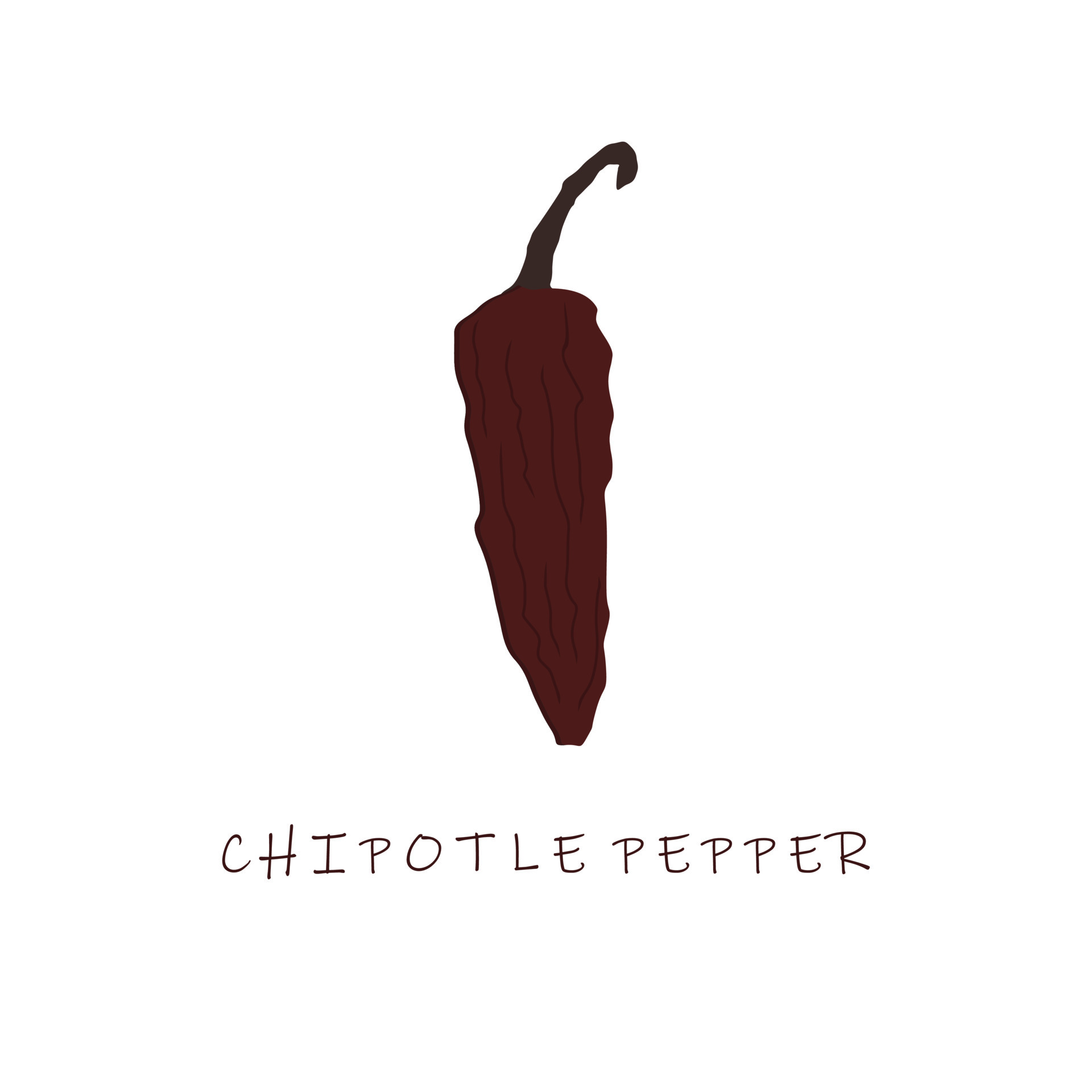 Ilustración de vector de diseño plano de pimiento chipotle 16589114