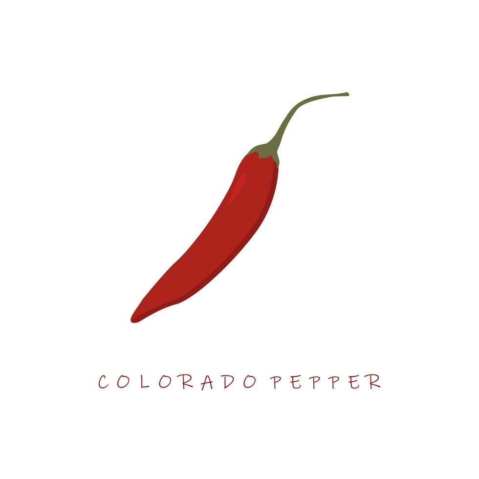 ilustración de vector de diseño plano de pimienta de colorado