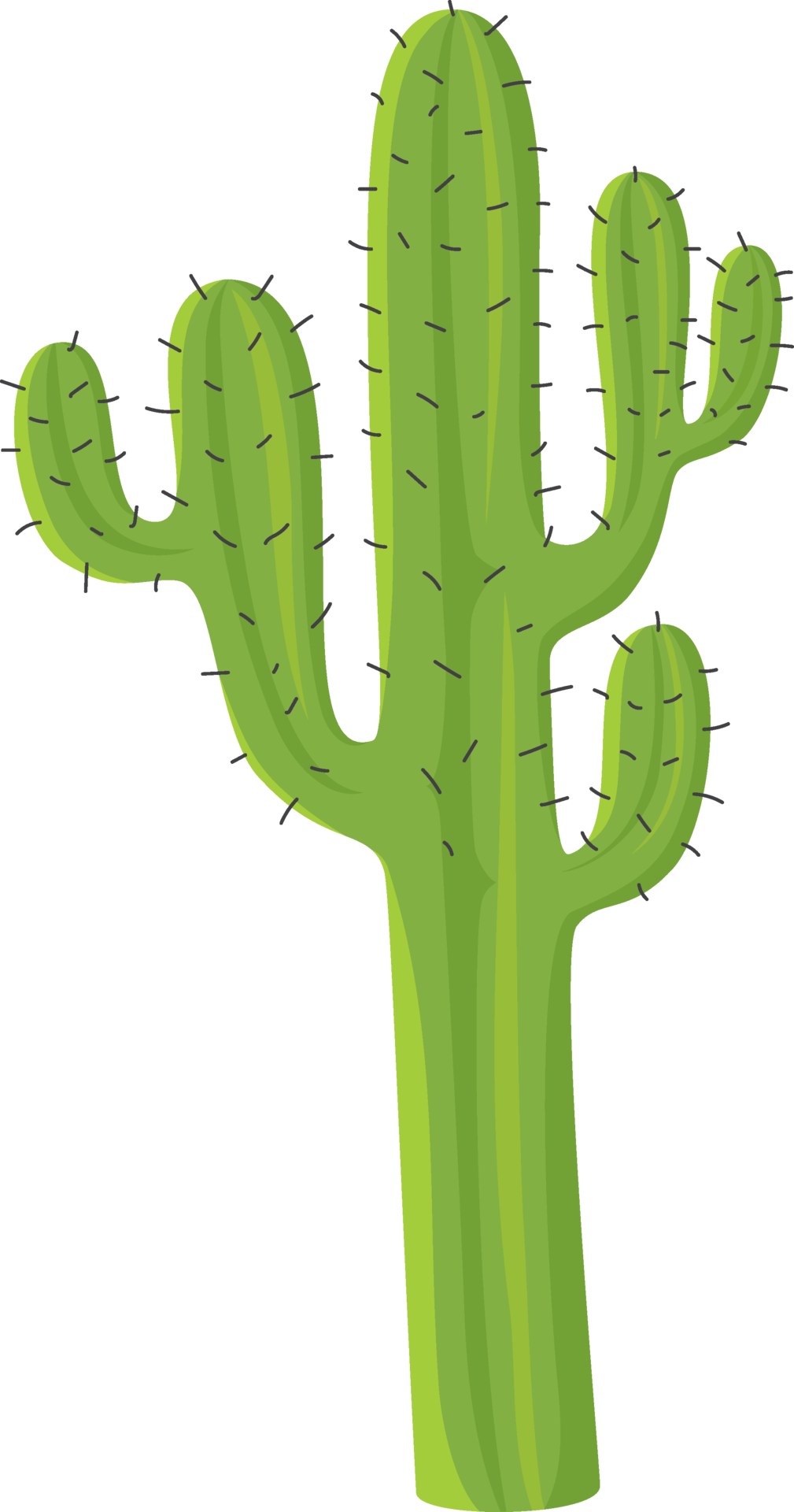 Green Cactus Illustration 16589184 PNG