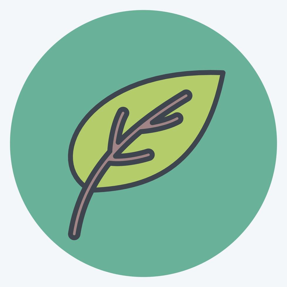 Icon Leaf. related to Flora symbol. color mate style. simple illustration. plant. Oak. leaf. rose vector