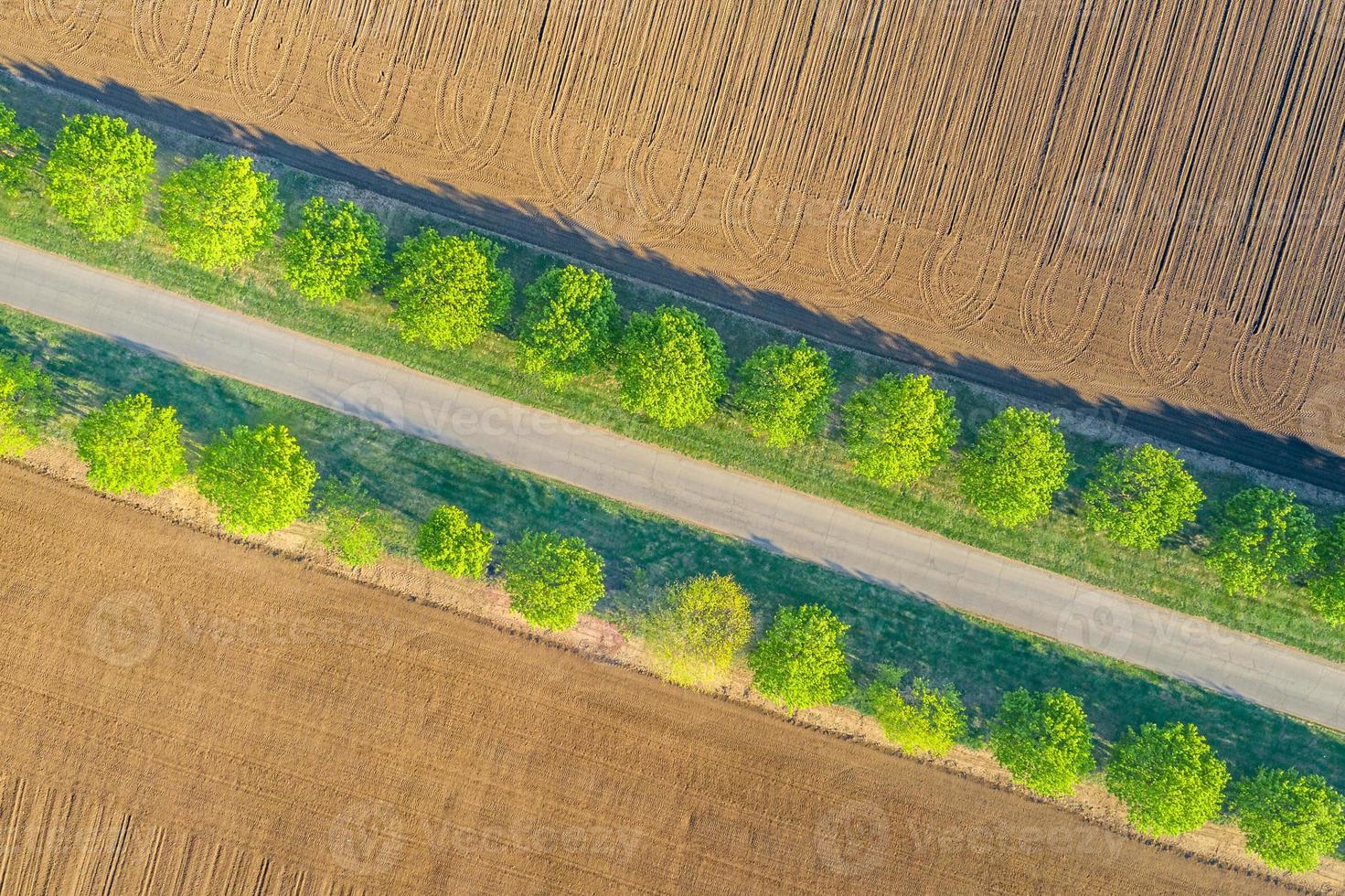 Aerial top view of a country road through a agricultural field landscape and a green tree line next to road. Idyllic aerial scenery, green trees with agriculture field. Wonderful nature pattern photo