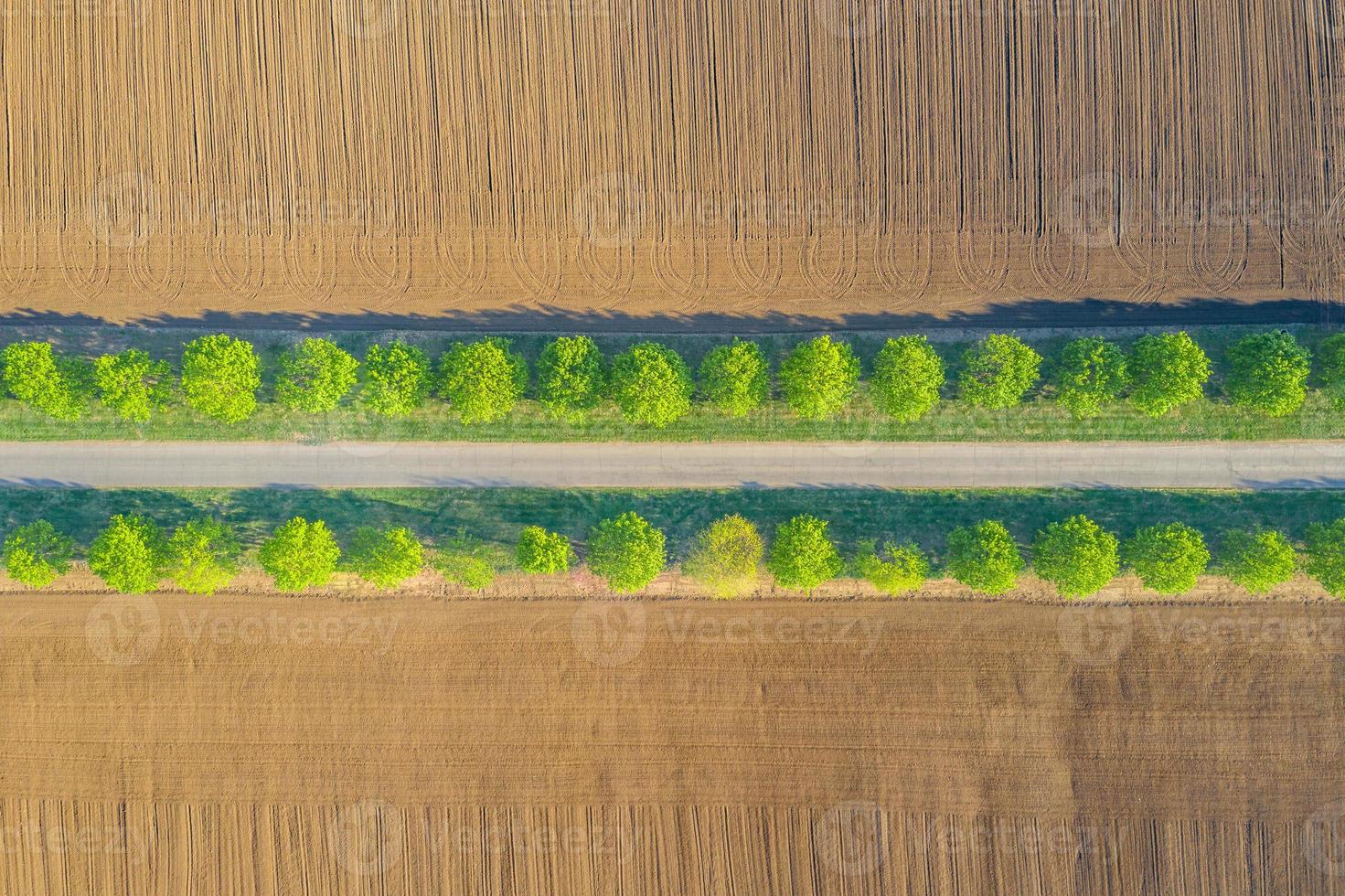 vista aérea superior de una carretera de campo a través de un paisaje de campo agrícola y una línea de árboles verdes al lado de la carretera. paisaje aéreo idílico, árboles verdes con campo agrícola. maravilloso patrón de la naturaleza foto