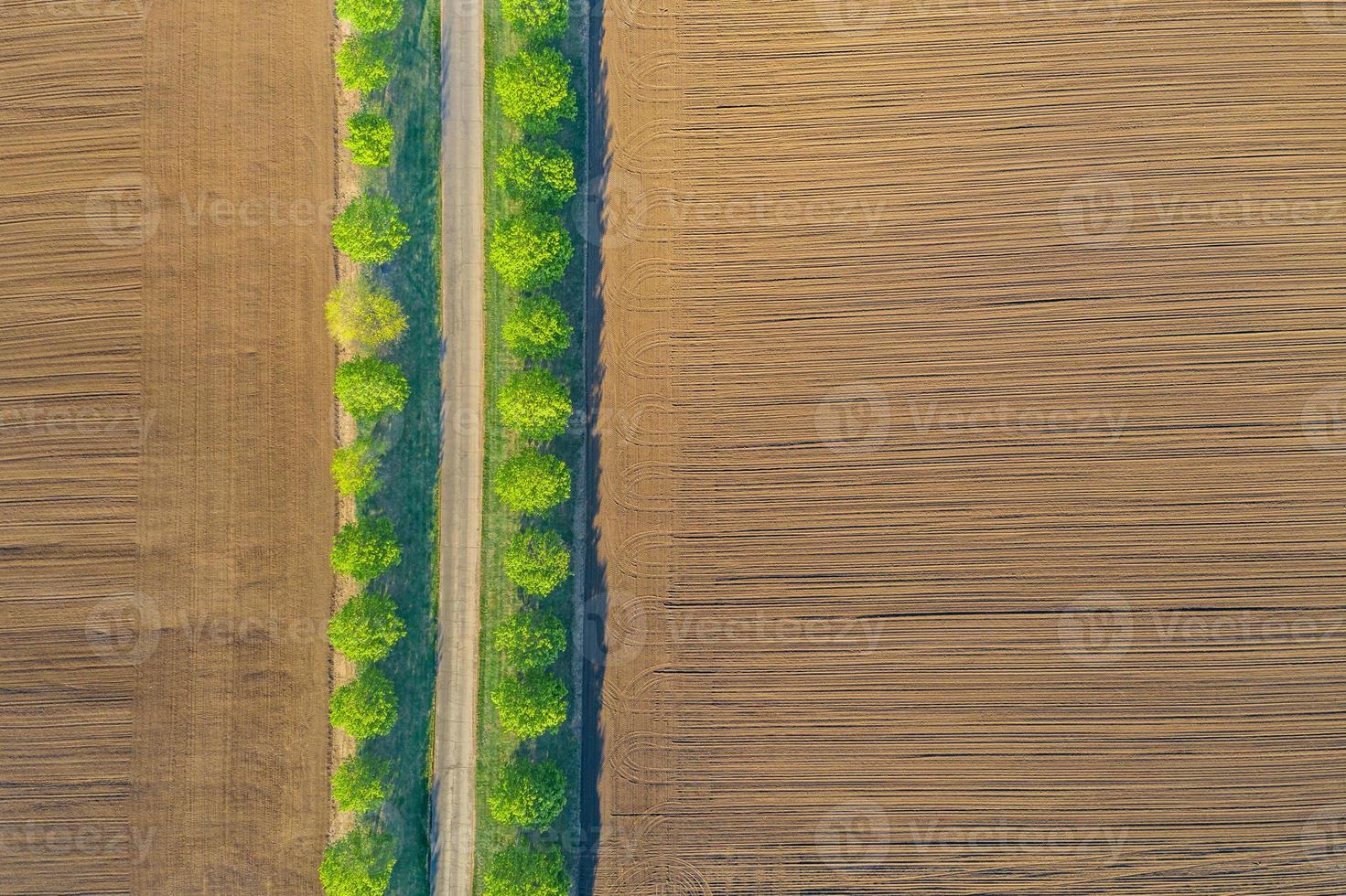 Aerial top view of a country road through a agricultural field landscape and a green tree line next to road. Idyllic aerial scenery, green trees with agriculture field. Wonderful nature pattern photo