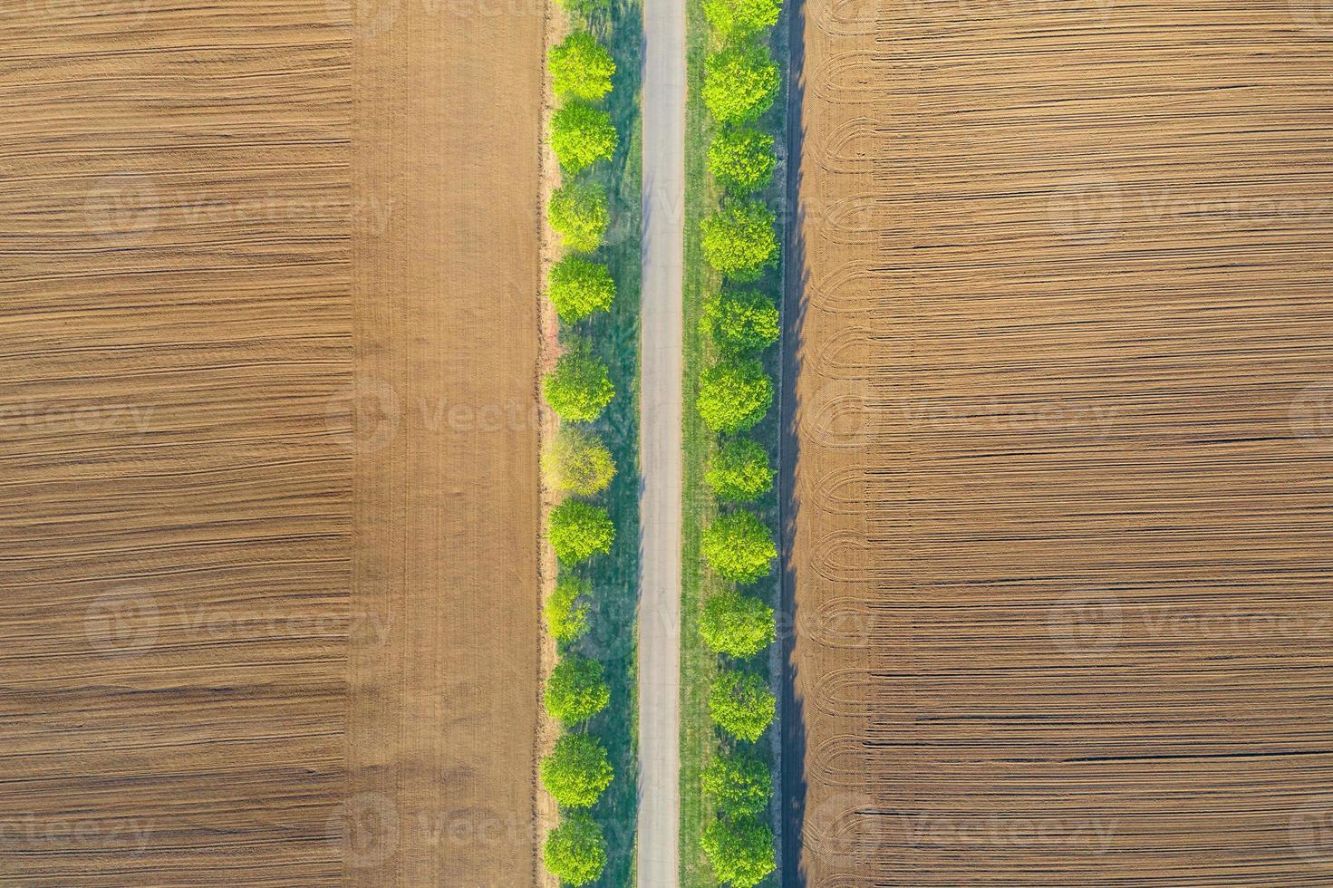 Aerial top view of a country road through a agricultural field landscape and a green tree line next to road. Idyllic aerial scenery, green trees with agriculture field. Wonderful nature pattern photo