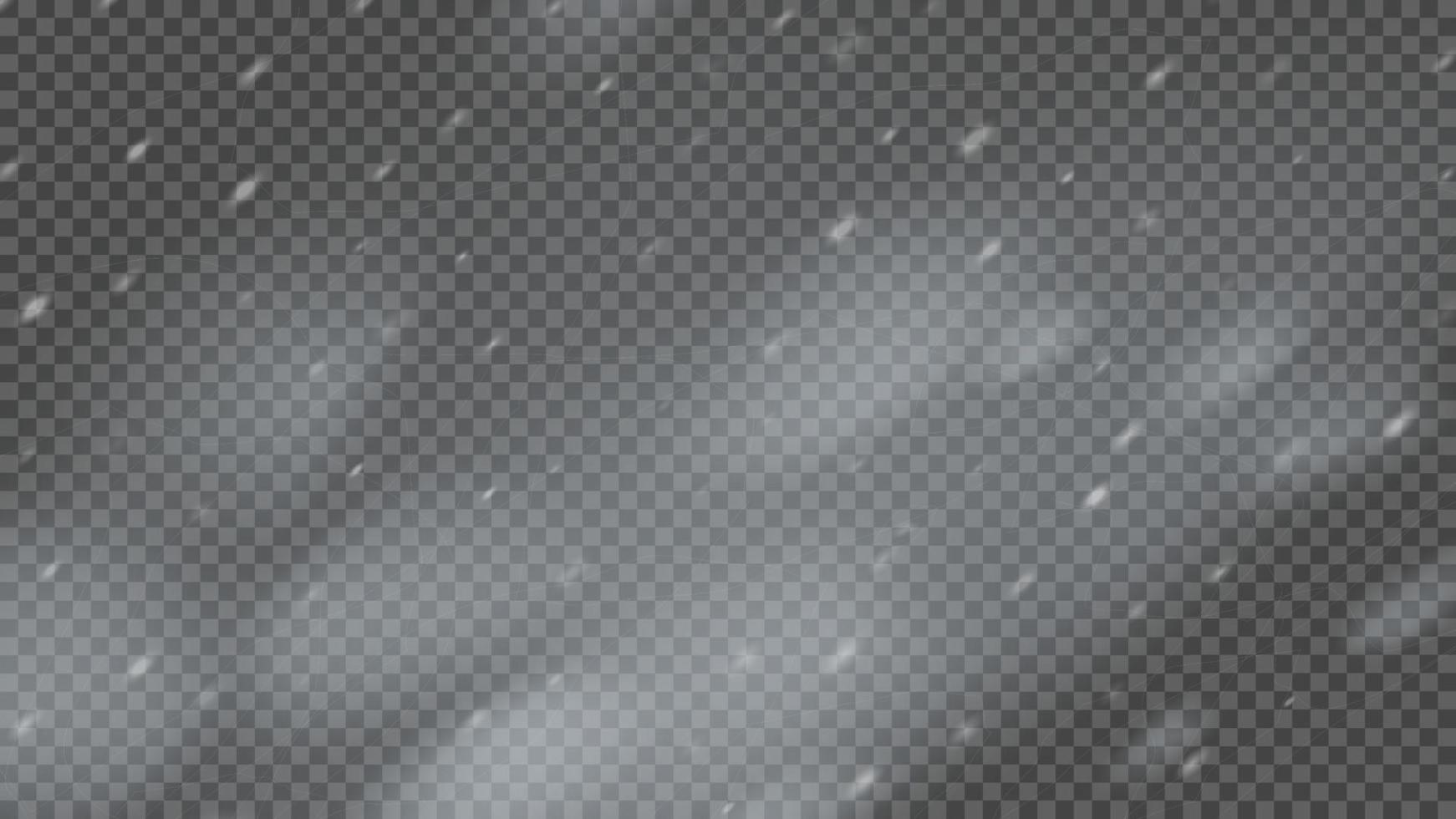 Snowstorm and falling snowflakes vector