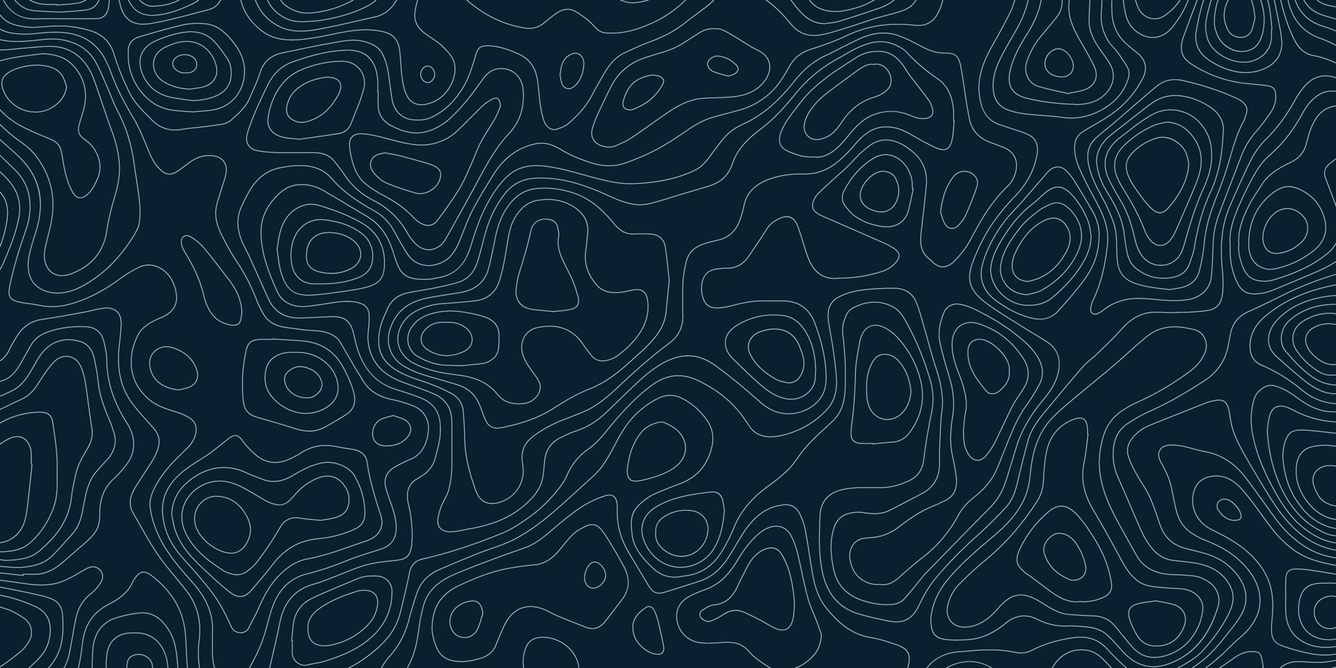 Topographic map on a dark blue background with white lines, vector, illustration vector