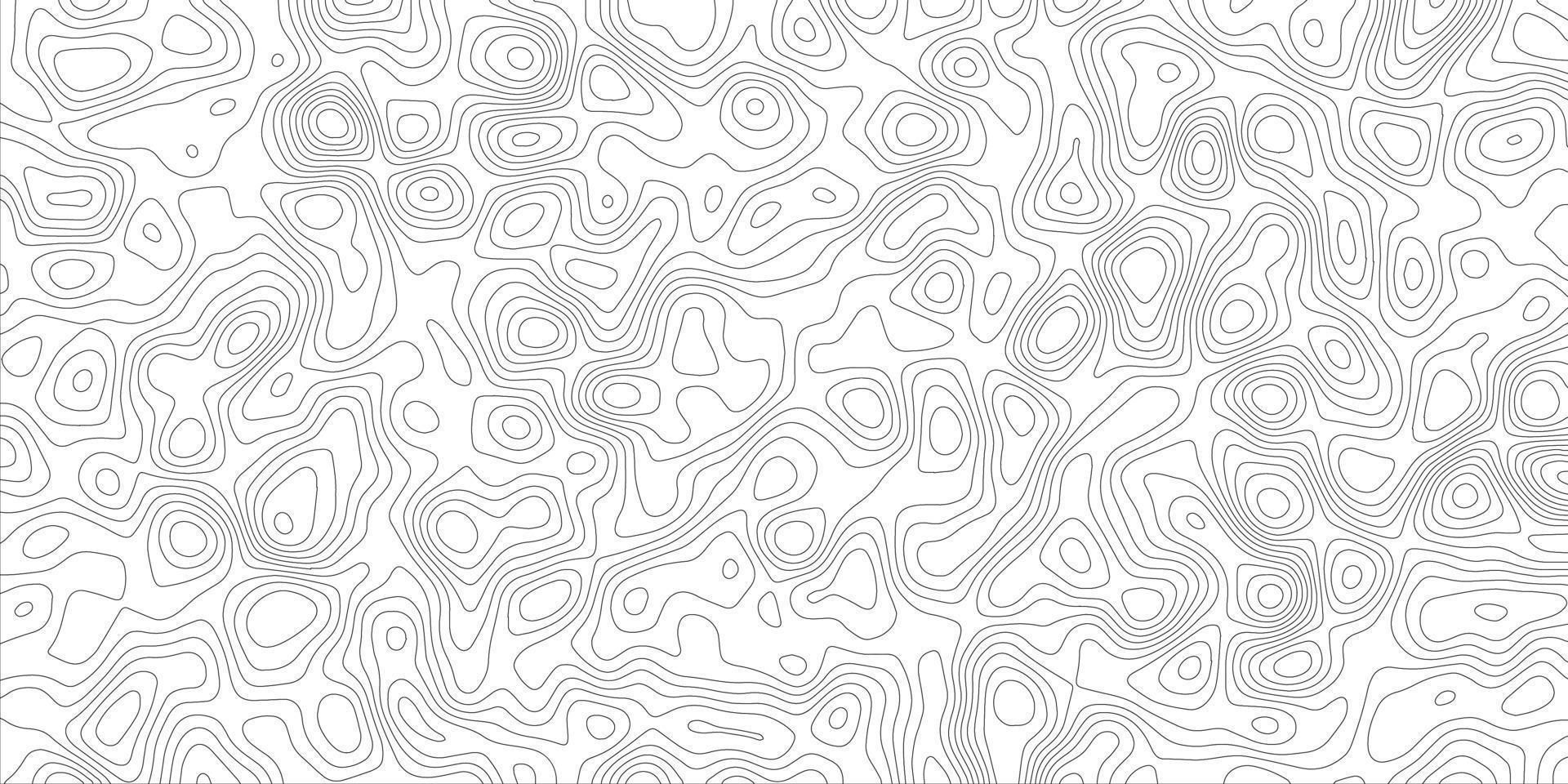 Topographic map lines background, geographic abstract grid, vector illustration