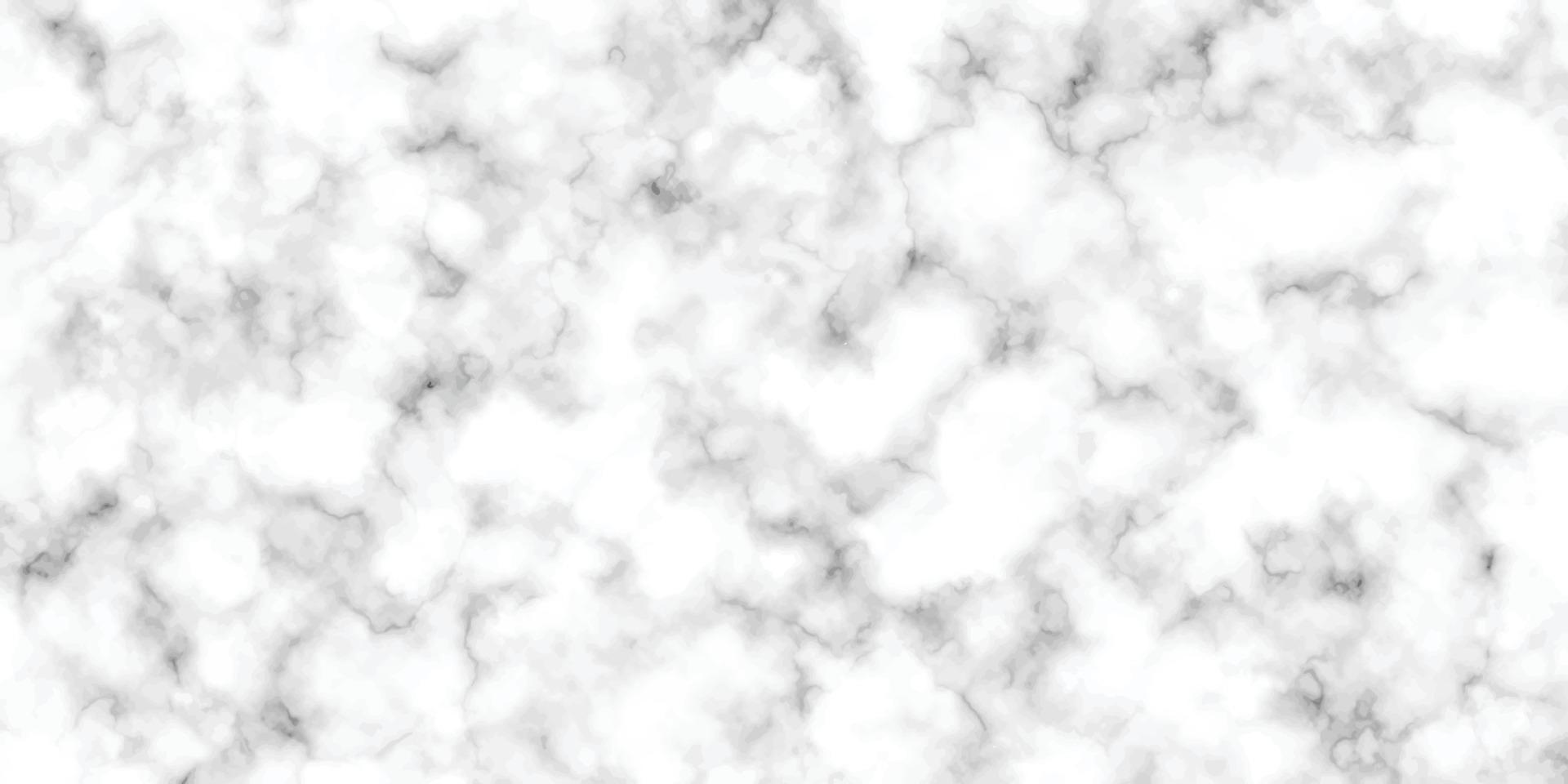 White marble texture pattern artwork background design, vector, illustration vector