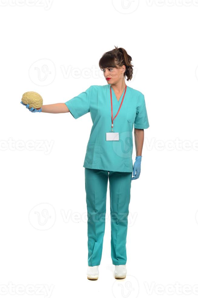 Female doctor holding a human brain model against white background photo