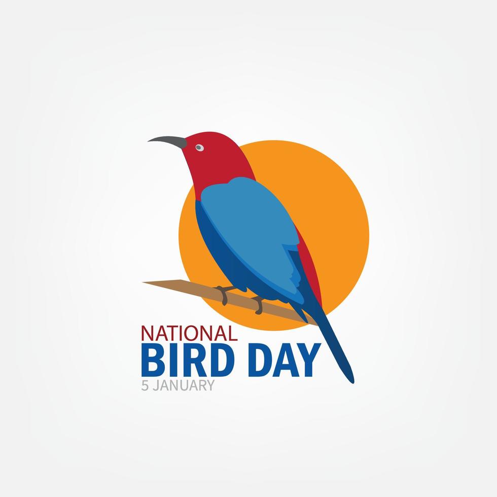 ilustración vectorial del día nacional de las aves. diseño simple y elegante vector