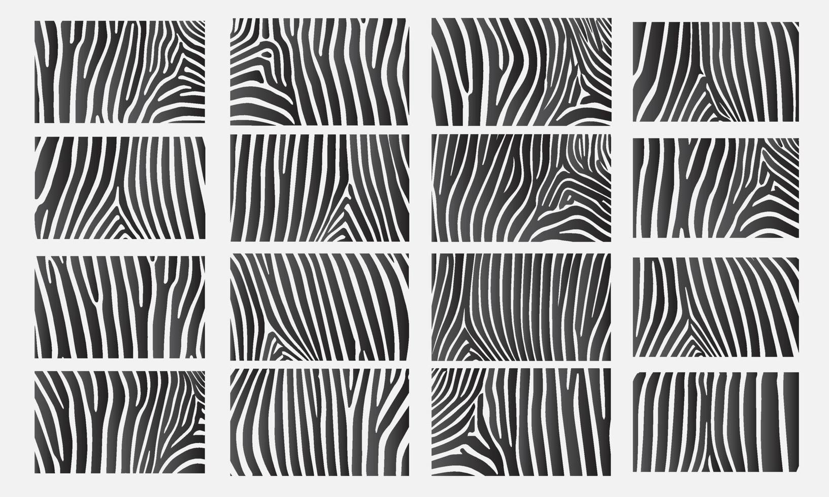 Collection of 16 vector skin zebra texture