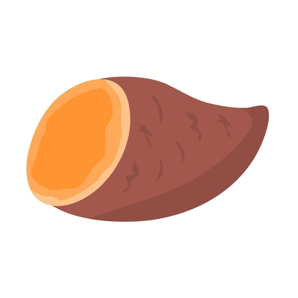 okinawa yam sweet potato vector
