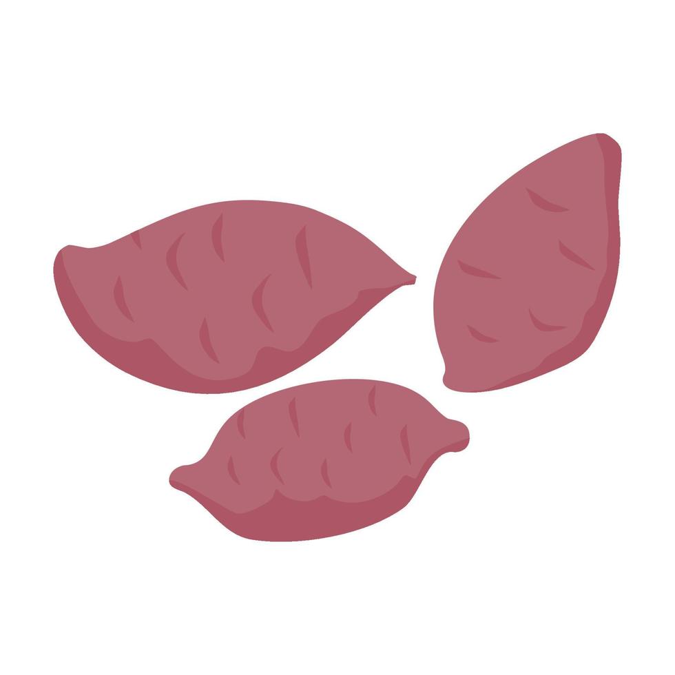 purple colored root sweet potato vector