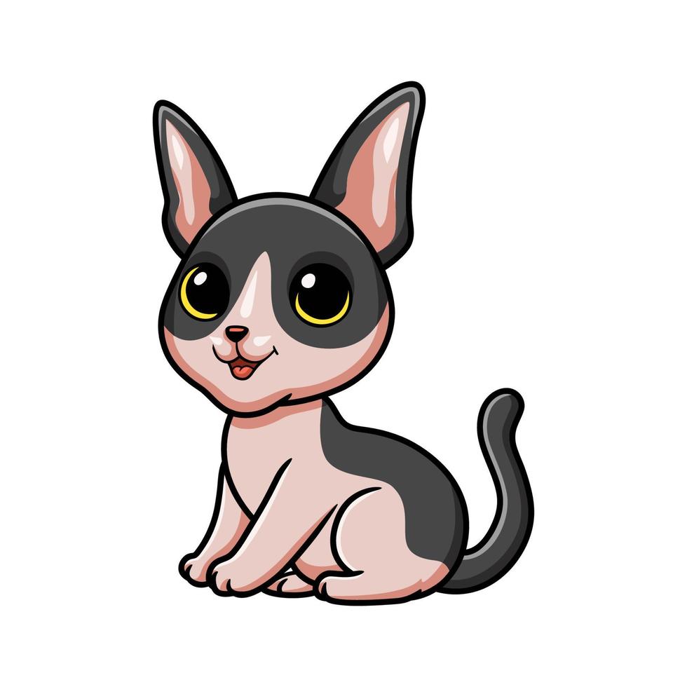 Cute cat cornish rex cartoon vector