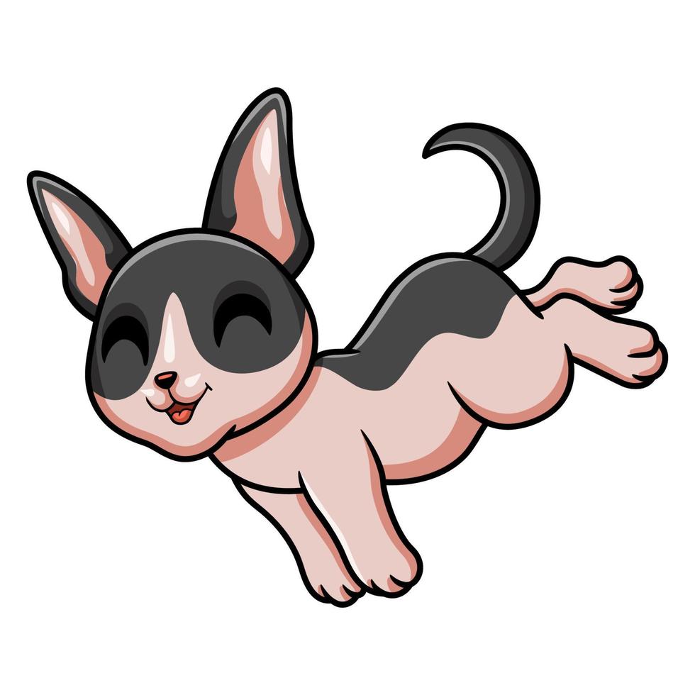 Cute cat cornish rex cartoon vector