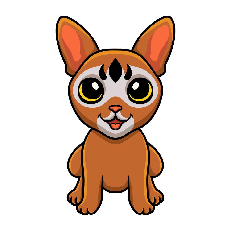 Cute abyssinian cat cartoon sitting vector