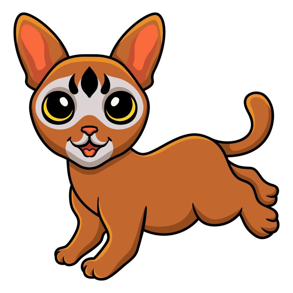 Cute abyssinian cat cartoon walking vector