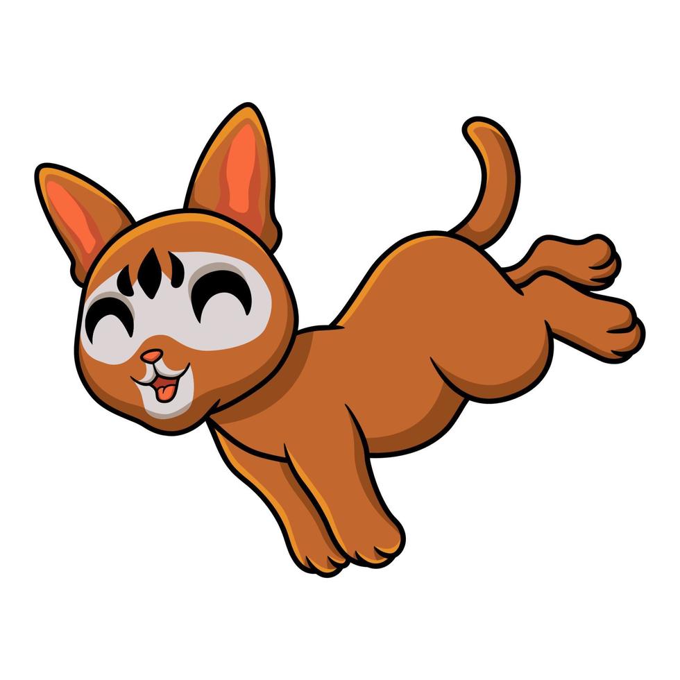dibujos animados lindo gato abisinio saltando vector