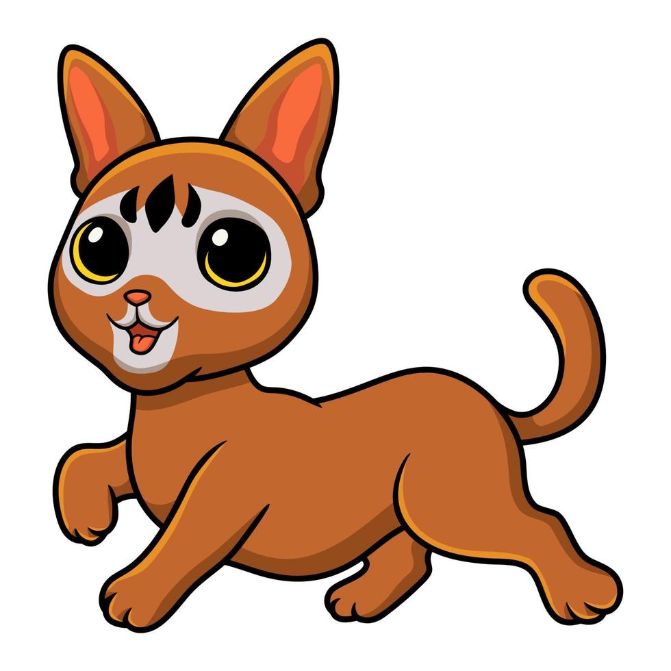 Cute abyssinian cat cartoon walking vector