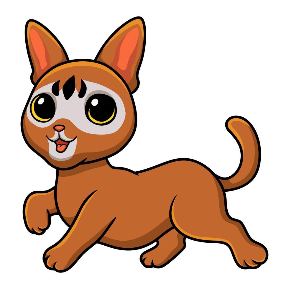 dibujos animados lindo gato abisinio caminando vector