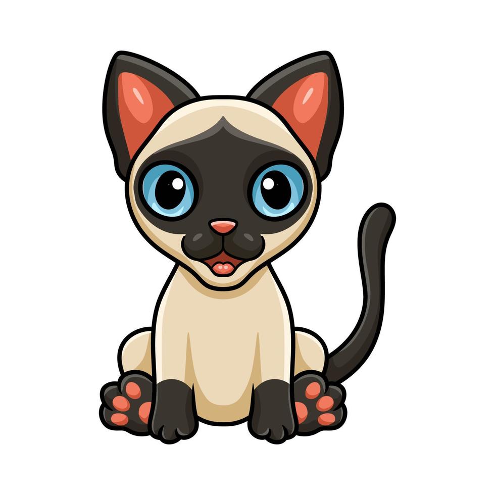 Cute siamese cat cartoon sitting vector