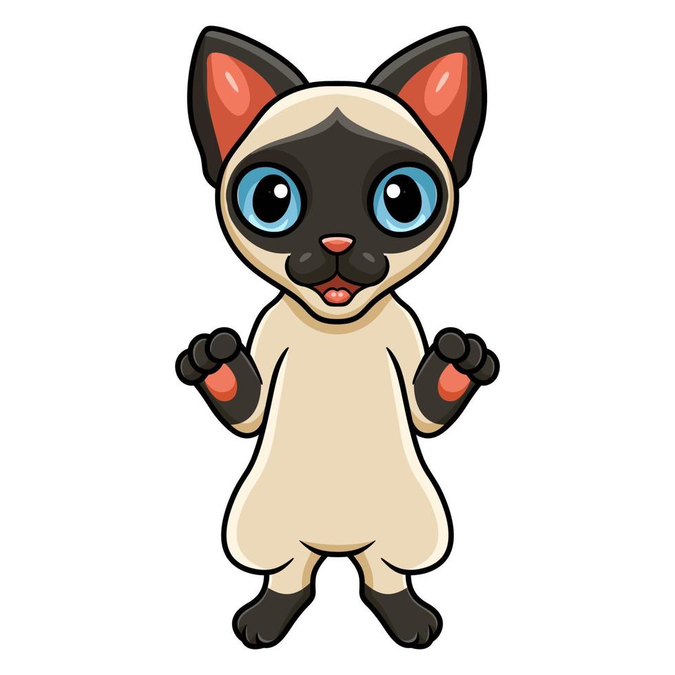 Cute siamese cat cartoon standing vector