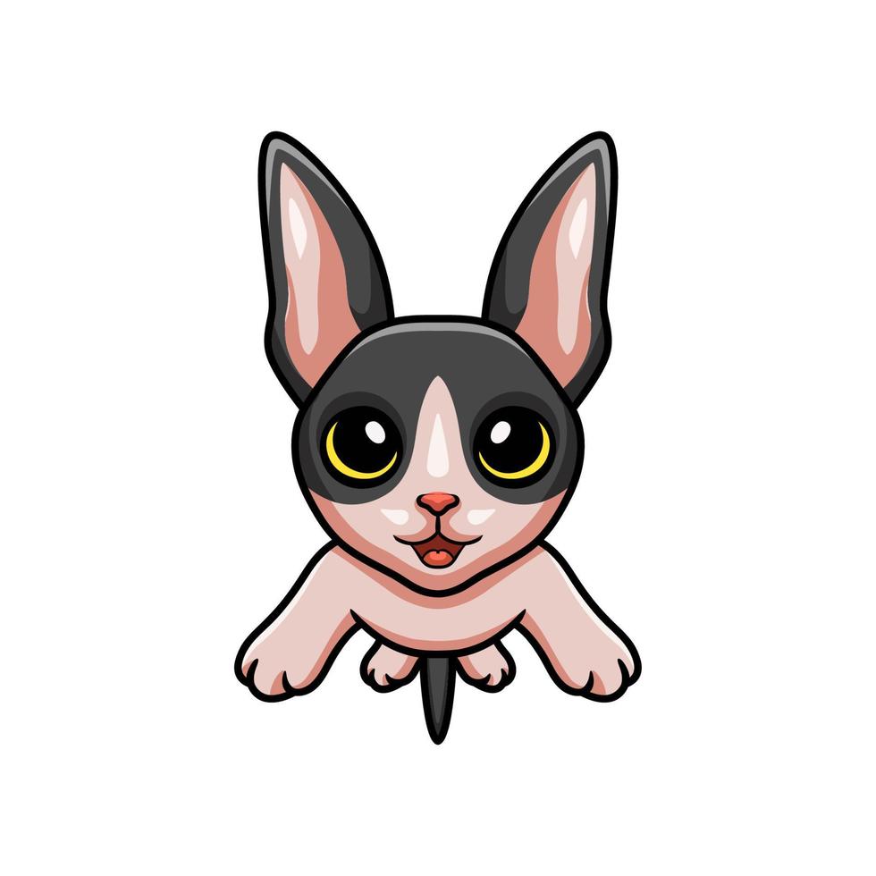 lindo, gato, cornualles, rex, caricatura vector