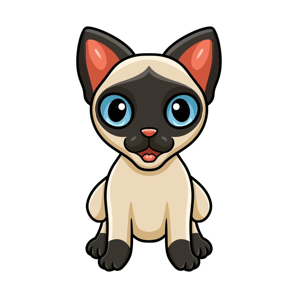 Cute siamese cat cartoon sitting vector