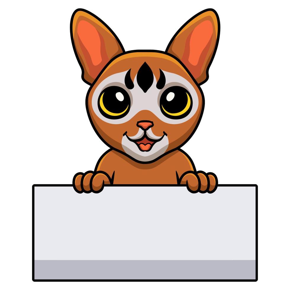 Cute abyssinian cat cartoon holding blank sign vector