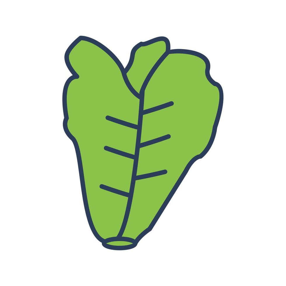 Lettuce Vector Icon