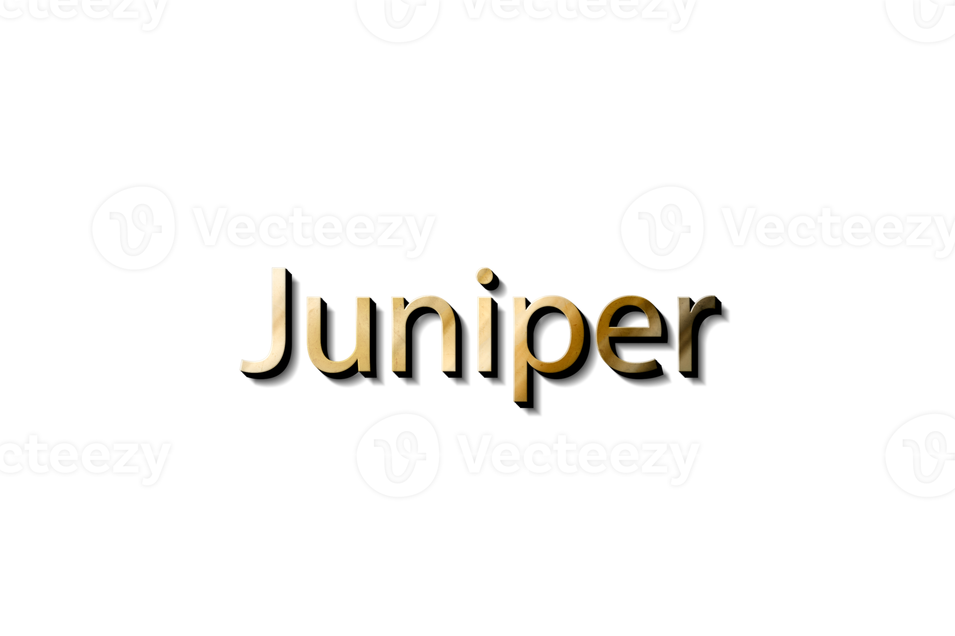 JUNIPER NAME 3D 16618620 PNG
