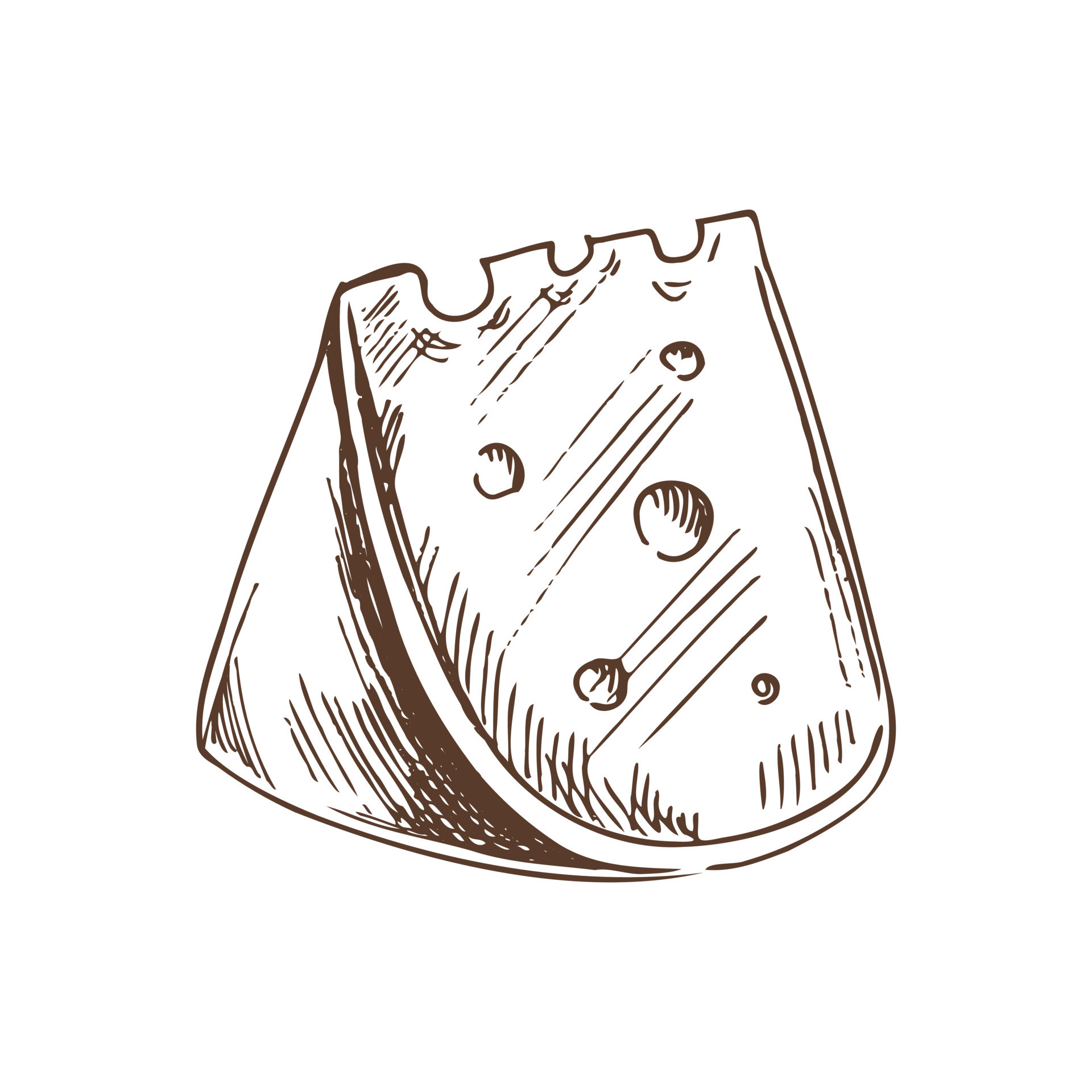 Hand drawn sketch piece of cheese. Vector black and white vintage