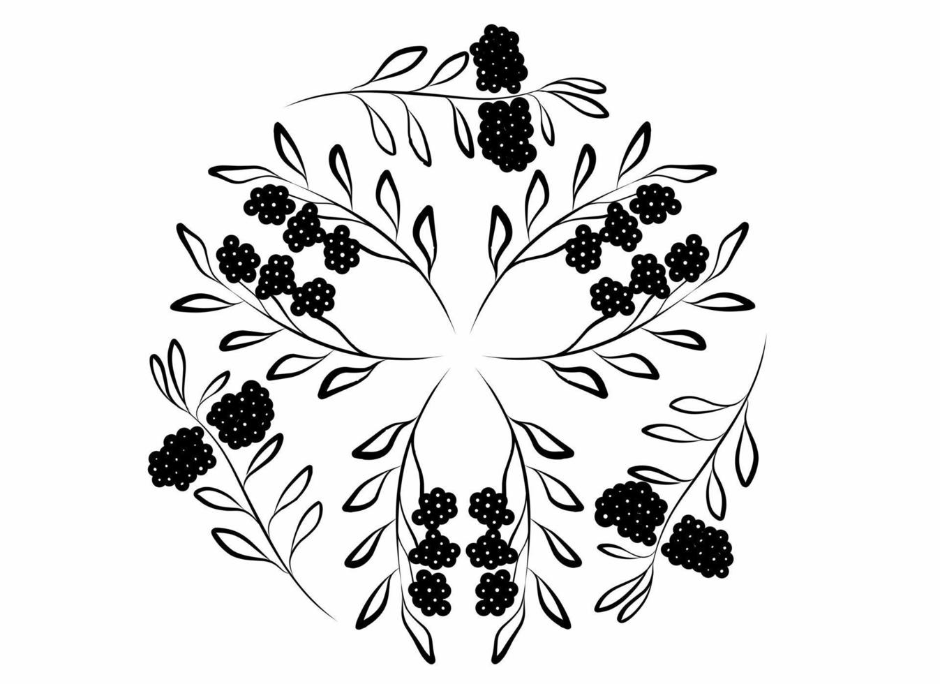 set berry and leaves outline black ethnic element vector