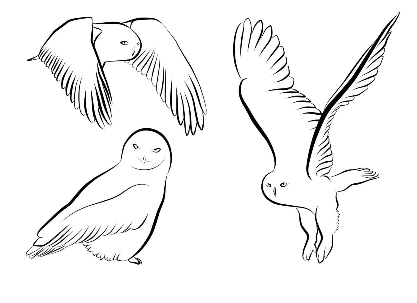 set snow owl outline black vector element design