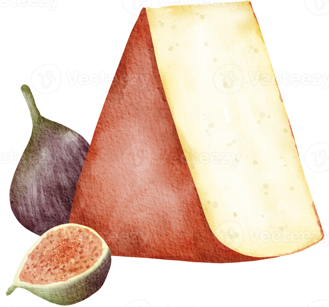 aquarelle vin et fromage clipart, png