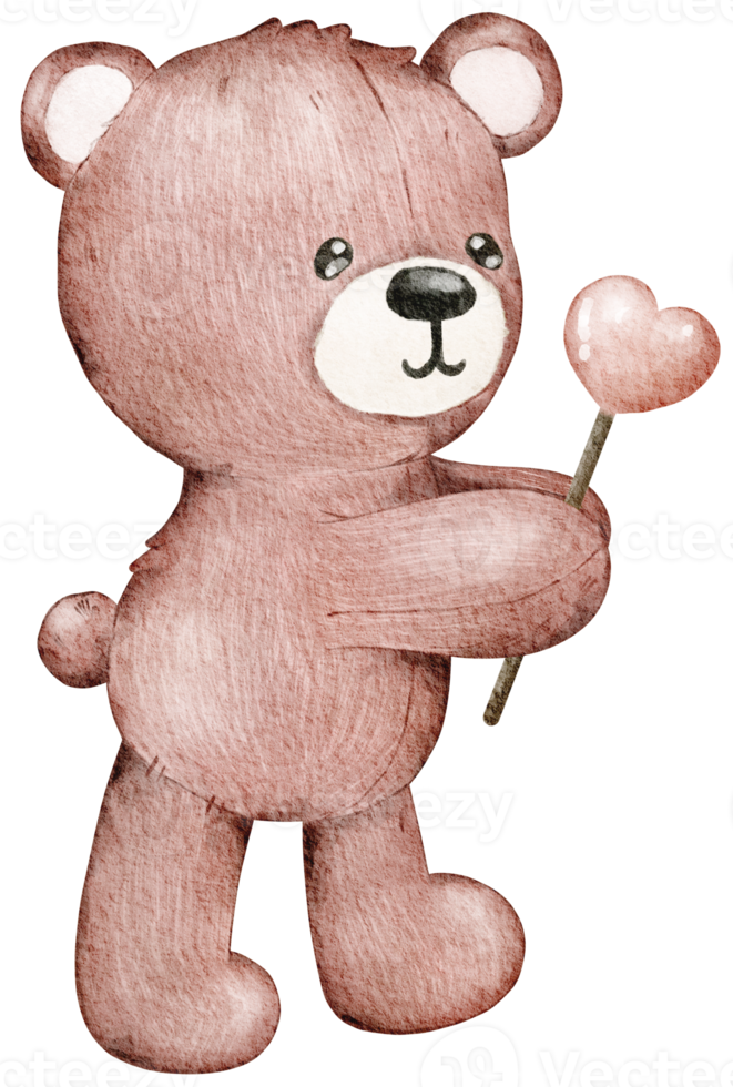 valentine teddy Björn vattenfärg element png