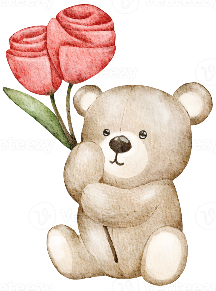 Watercolor Valentine's Day Teddy bear png