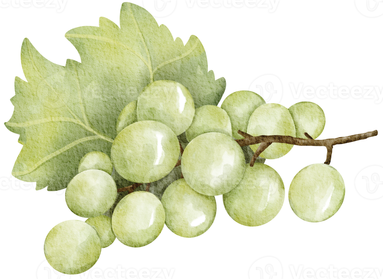 acquerello vino e formaggio clipart, png