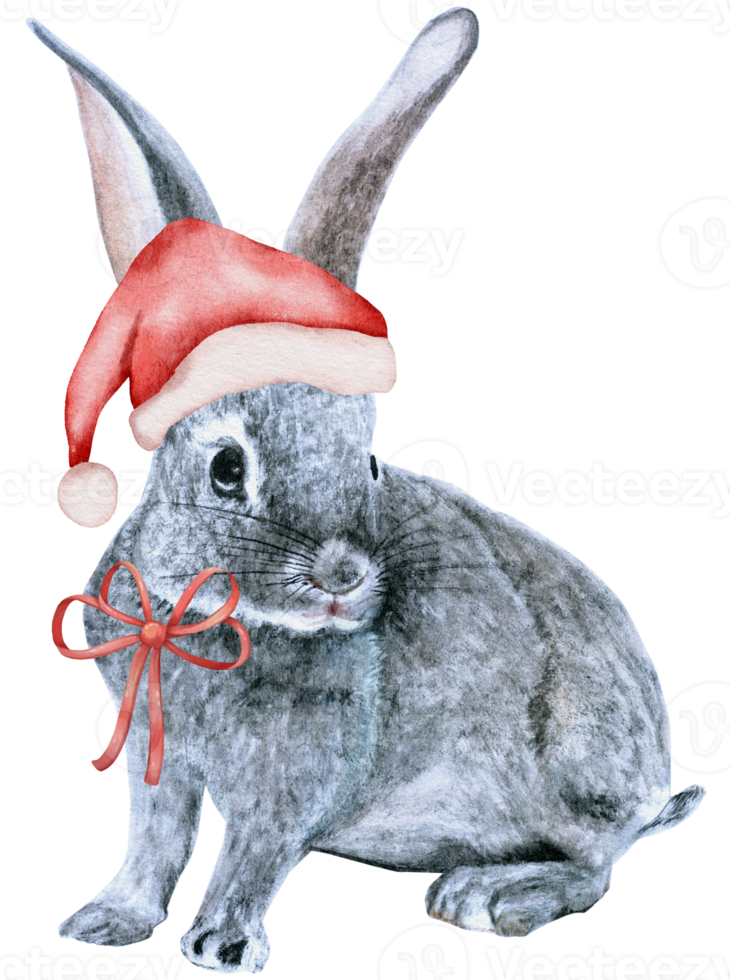 Watercolor Rabbit Year Chinese New Year hand paint png