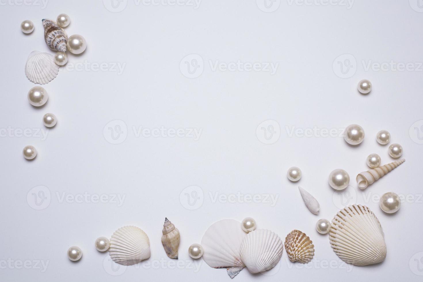 Sea shells and pearls on the white background, with free space for text. photo