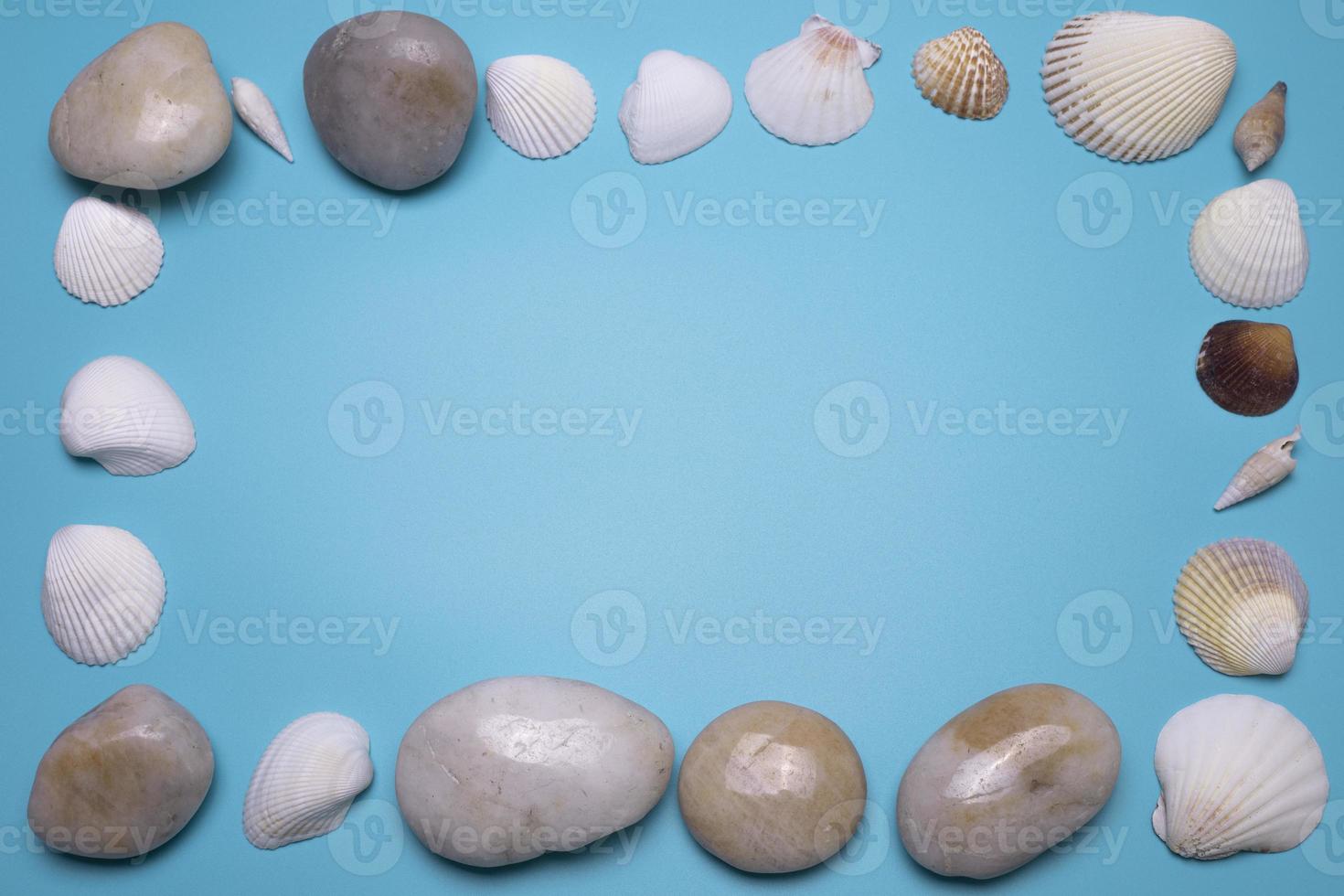 Sea shells and small stones on the blue background, with free space for text. photo