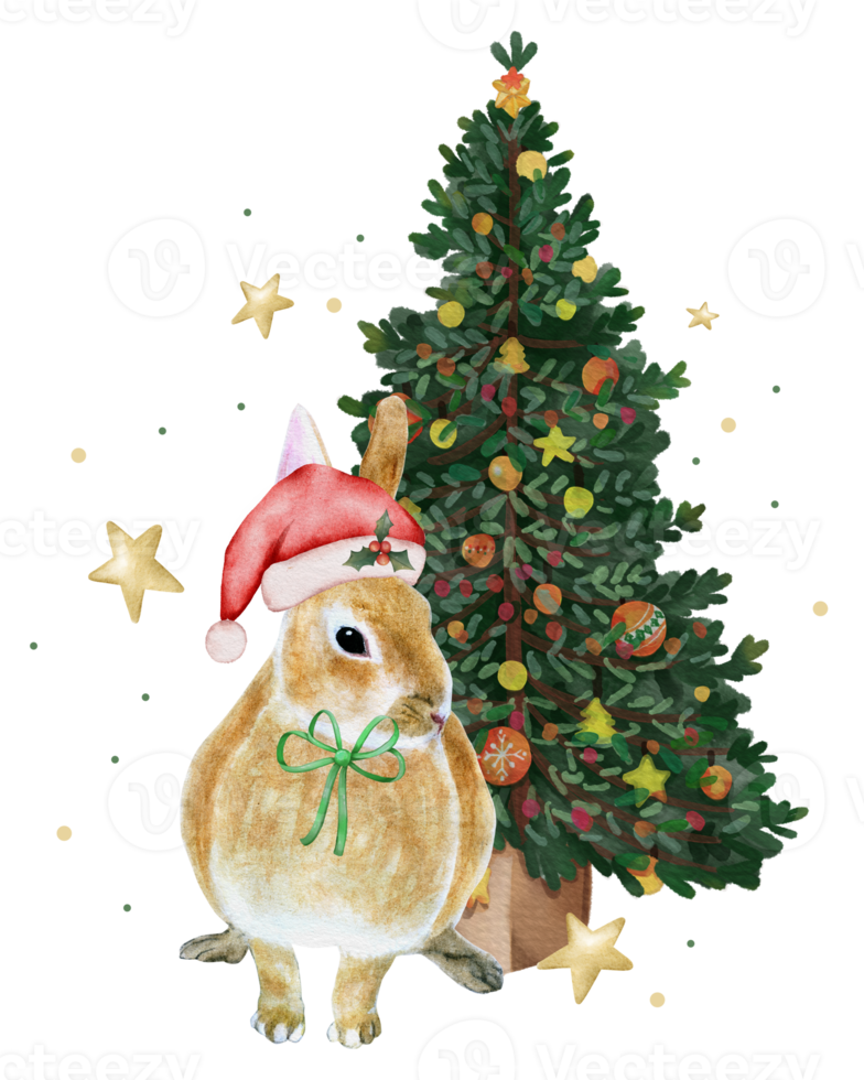 Watercolor Rabbit Year Chinese New Year hand paint png