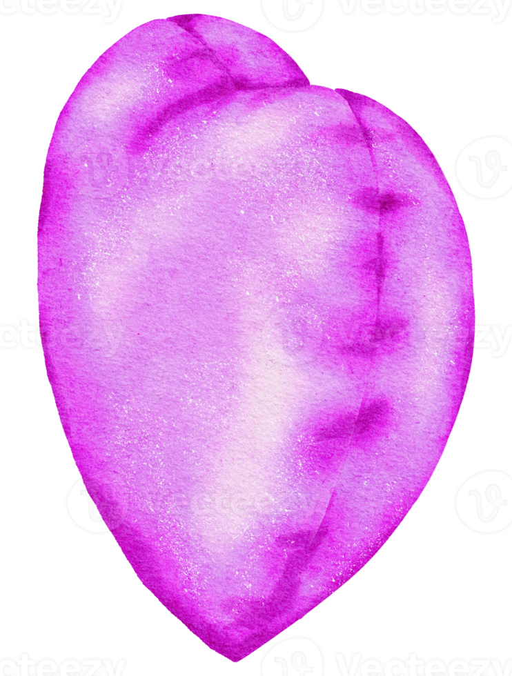 elemento de balão de folha violeta aquarela pintado à mão png