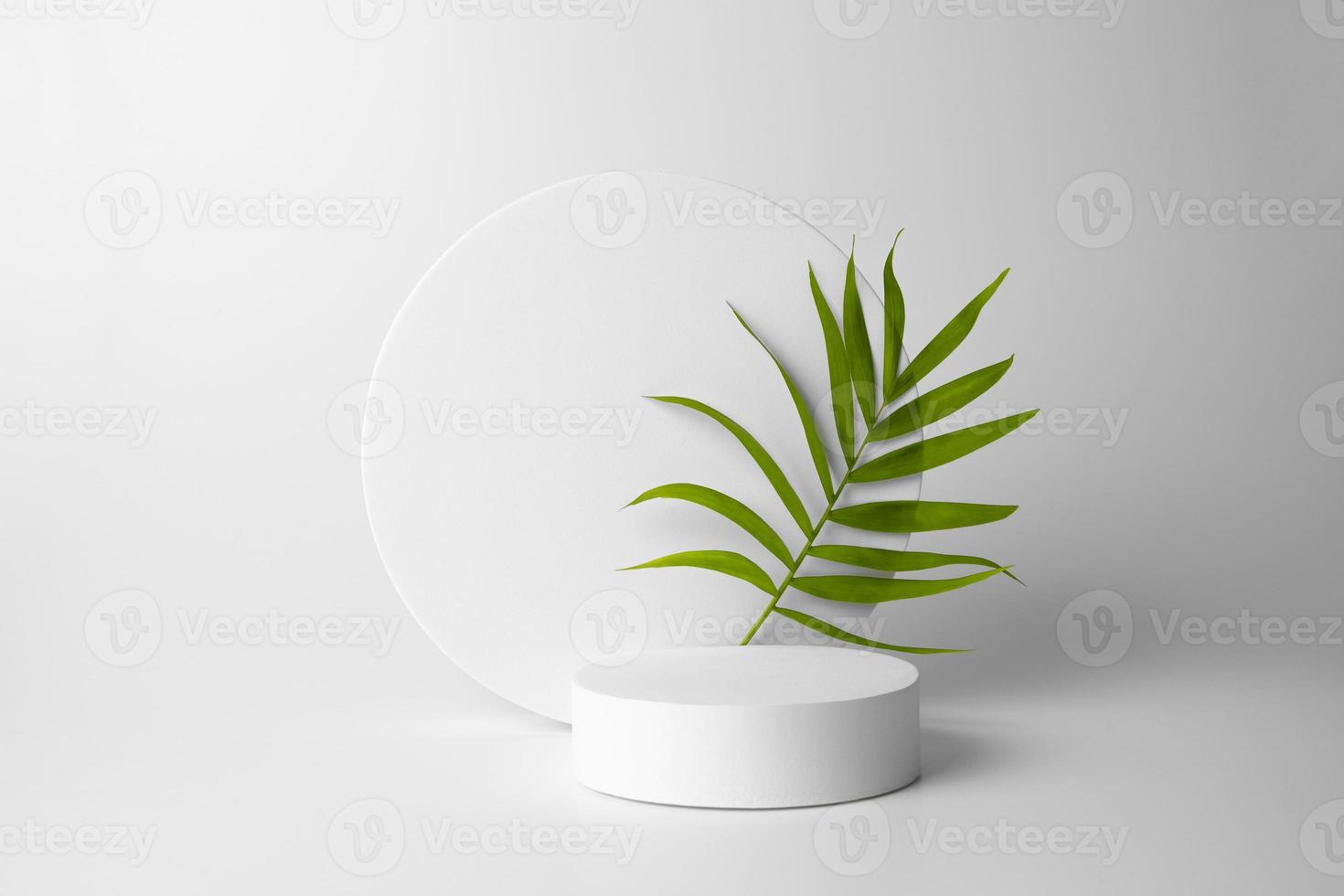White podium on the white background with tropical leaf. Podium for product, cosmetic presentation. Creative mock up. Pedestal or platform for beauty products. photo