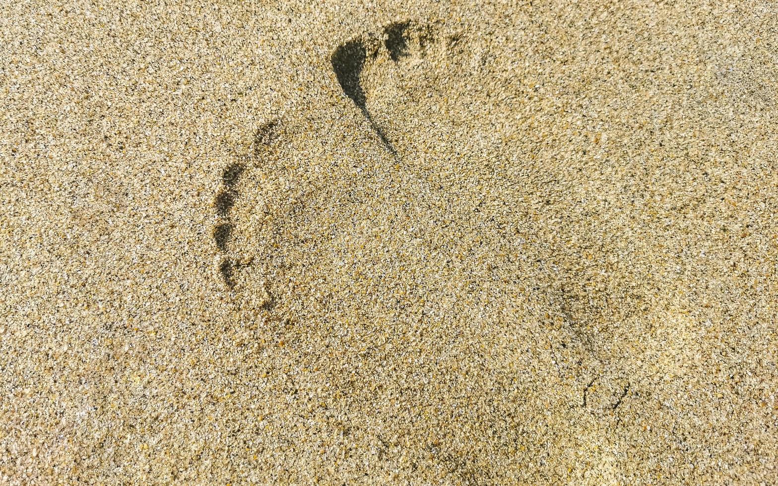 Footprint footprints on the beach sand by the water Mexico. photo