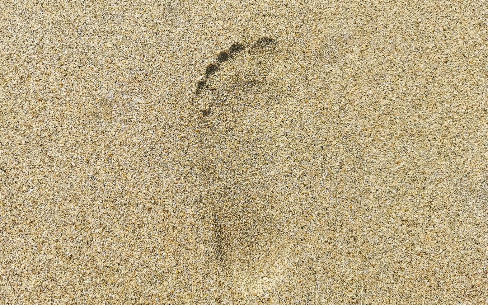 Footprint footprints on the beach sand by the water Mexico. photo