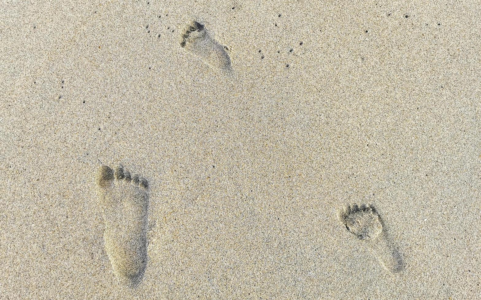 Footprint footprints on the beach sand by the water Mexico. photo