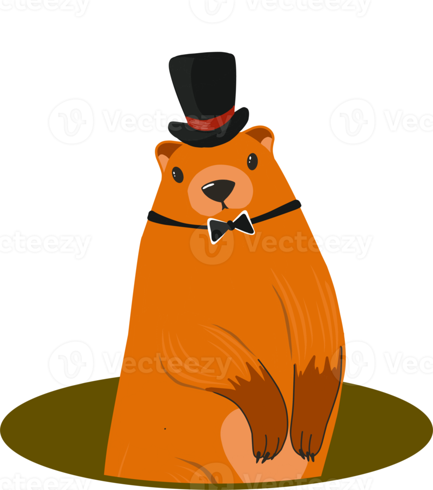 Groundhog Day. Groundhog character. Beaver or gopher.Flat cartoon style.Weather forecaster png