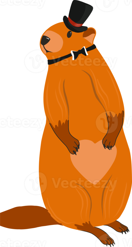 Groundhog Day. Groundhog character. Beaver or gopher.Flat cartoon style.Weather forecaster. png