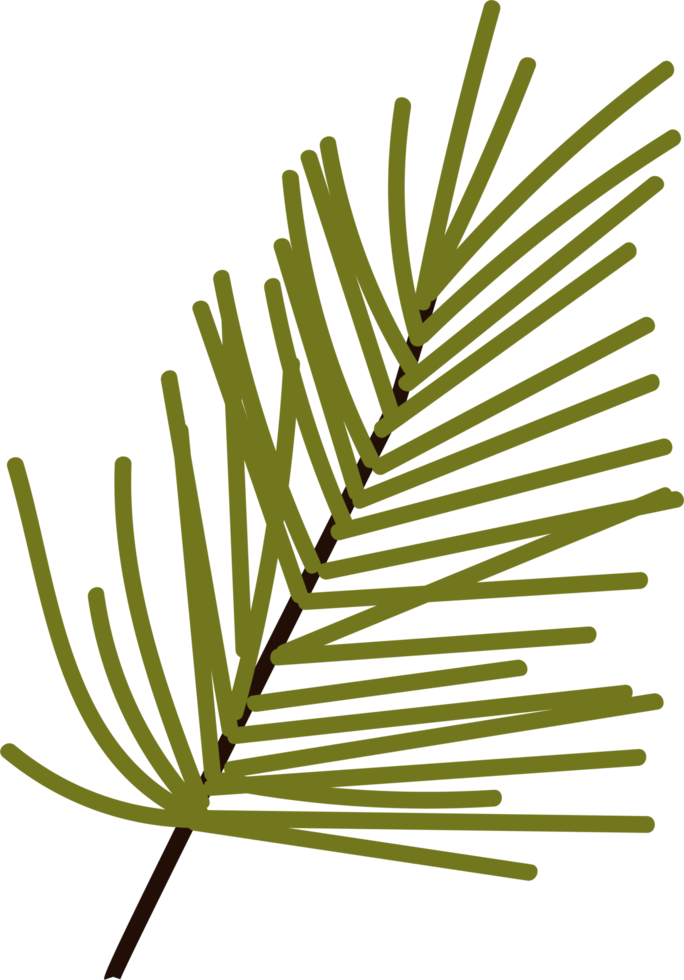 A simple Christmas tree. Pine branch. Green branch christmas element. png